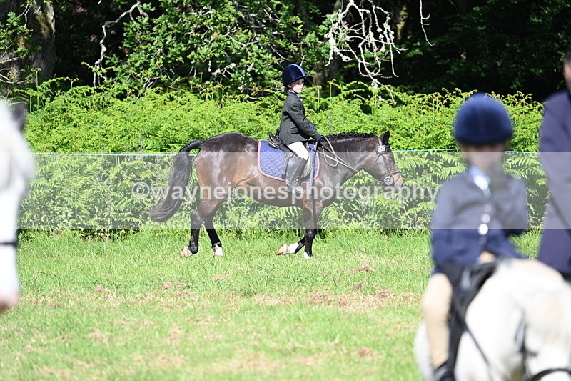 WJ7_0602 - Class 8 First Rally Pony