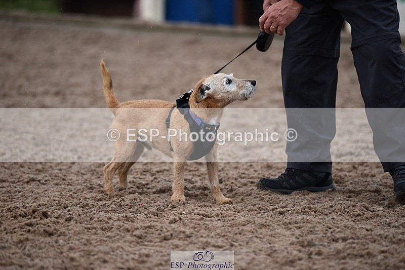 240518A-130000-01227 - Cls 6 Best Veteran