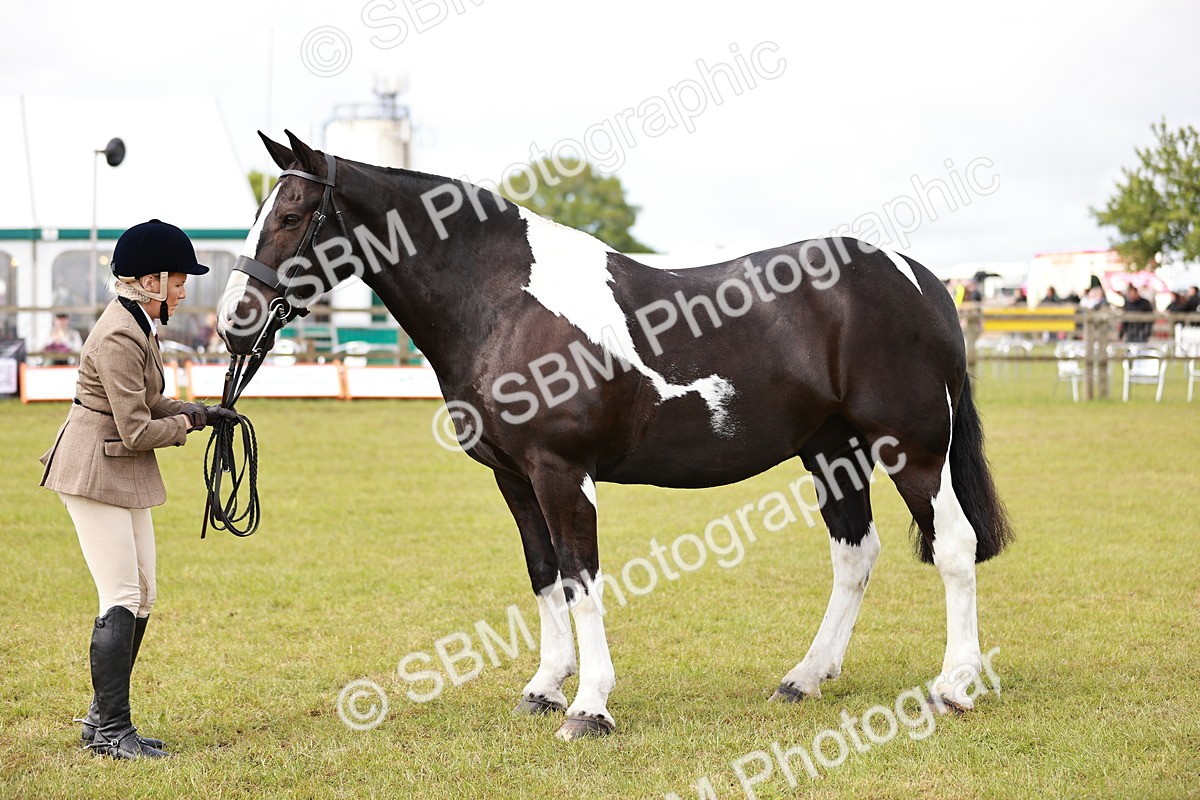 SBM_13143 - Class 85-87 - RIHS Cobs