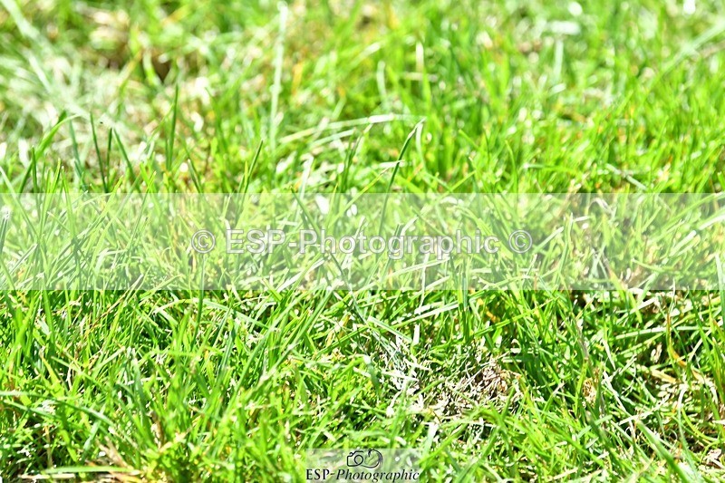 230707-143500-08297 - Cls 13 Newcomers 2nd R Jump Off and P