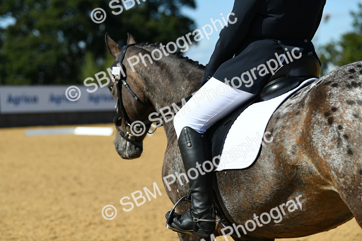 SBM_24815 - D13 - Grand Tour Championship - Prelim 12