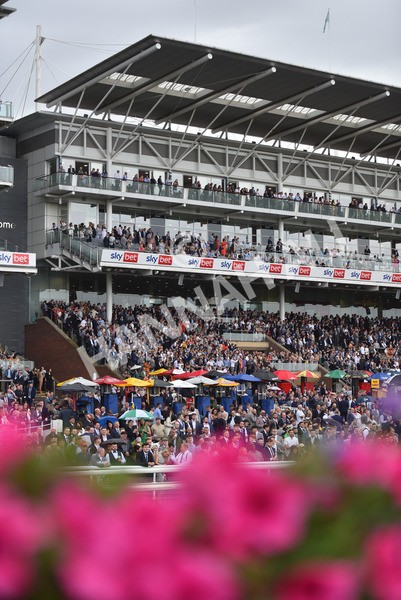 yr21082021r7-40 - Race 7 5.20pm Sky Bet Apprentice Stakes