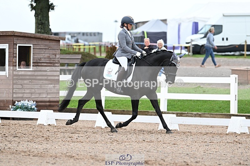 250907-120717-08225 - 011-Lee-Anne.PineMay.diamond