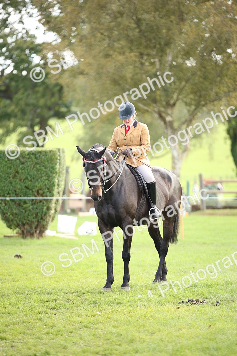 SBM_50224 - S26 - Young Veteran - Ridden