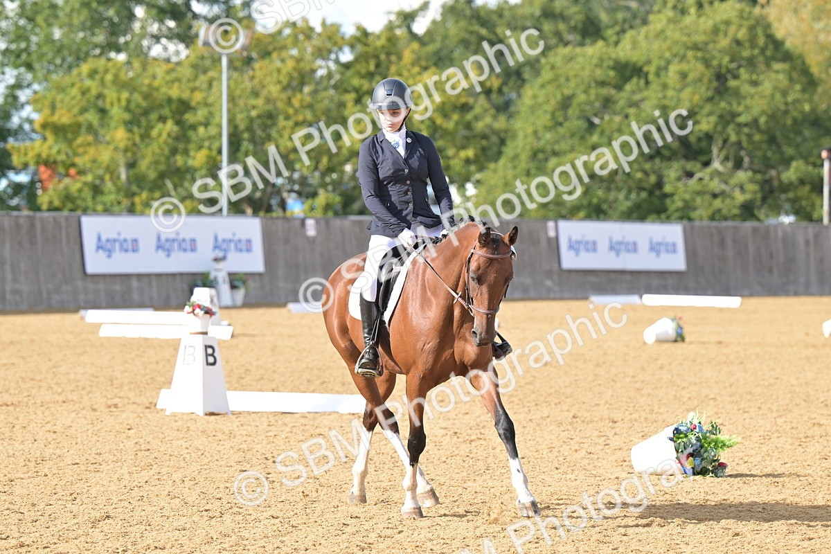SBM_11113 - D3 - Small Tour Championship Intro 3