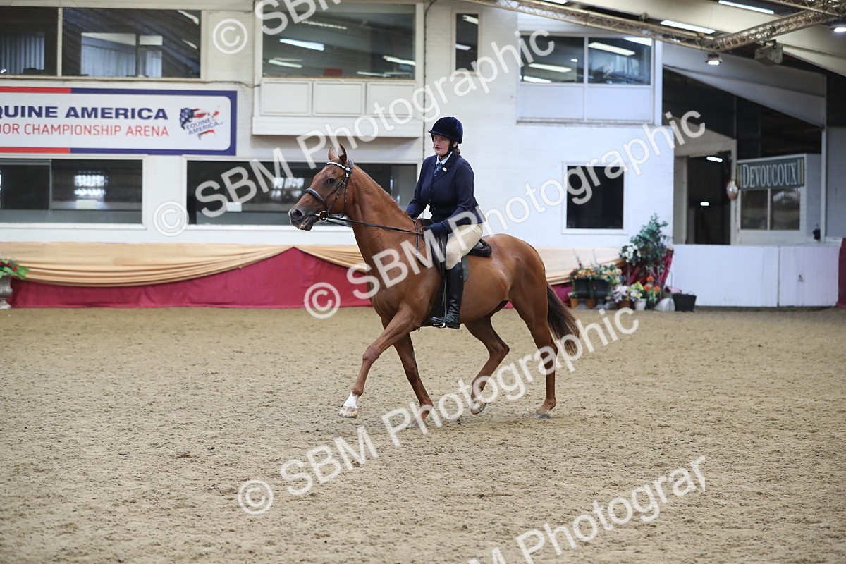 SBM_12336 - Class 108 Ridden Retired Racehorse- Pre Judging