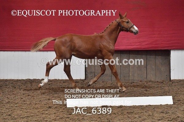 JAC_6389 - 19 Luca
