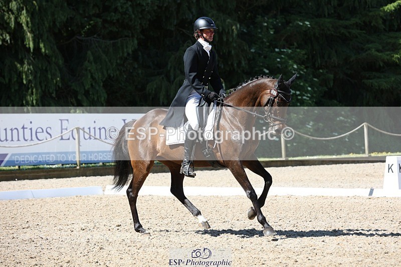 230526-102405-05247 - 361-FINCH_FANCY-Ben_Lee_Liles-WEDTrotUp+DR