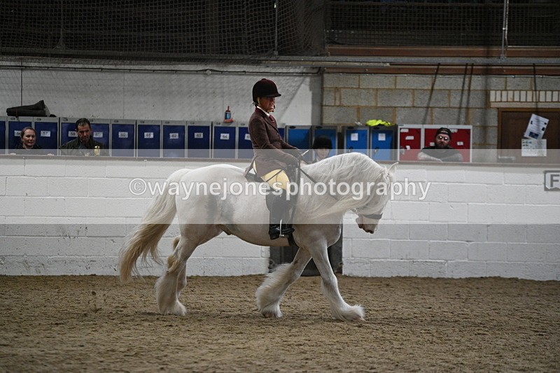 WJ7_4212 - Class 17 Ridden Cob