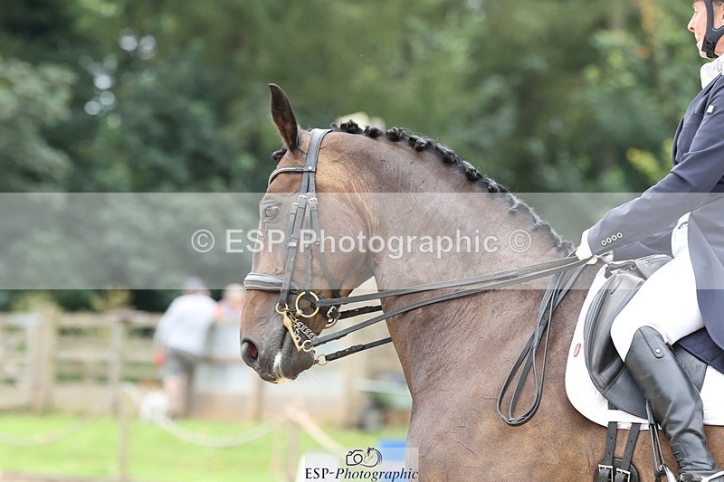 240810-150607-03898 - 204-Angie.Jacobs-Tantoni.Bulgari