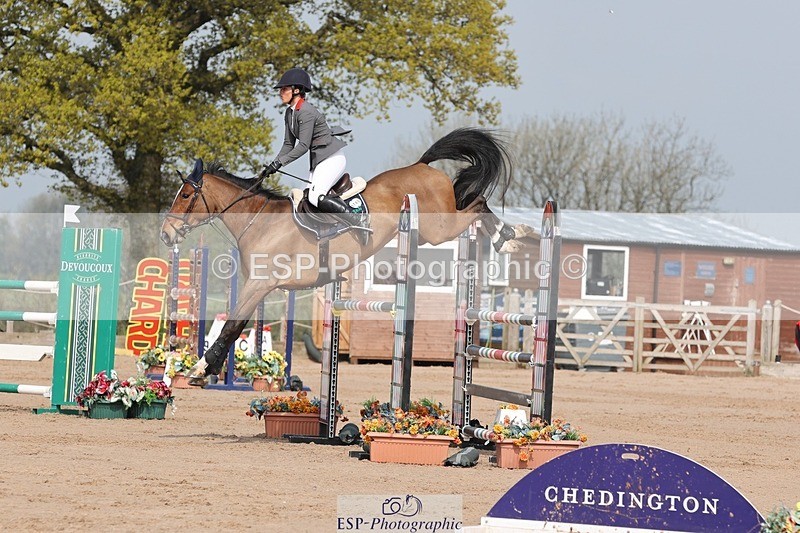 250424-103939-03155 - Cls 33 Young Horse 7yr old