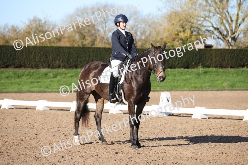 20251102-0404 - Class 3 - Novice 5