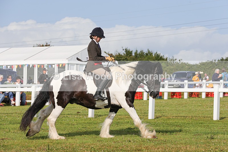 1X9A3171 - Class 27:  Ridden Native/Trad Coloured Horse