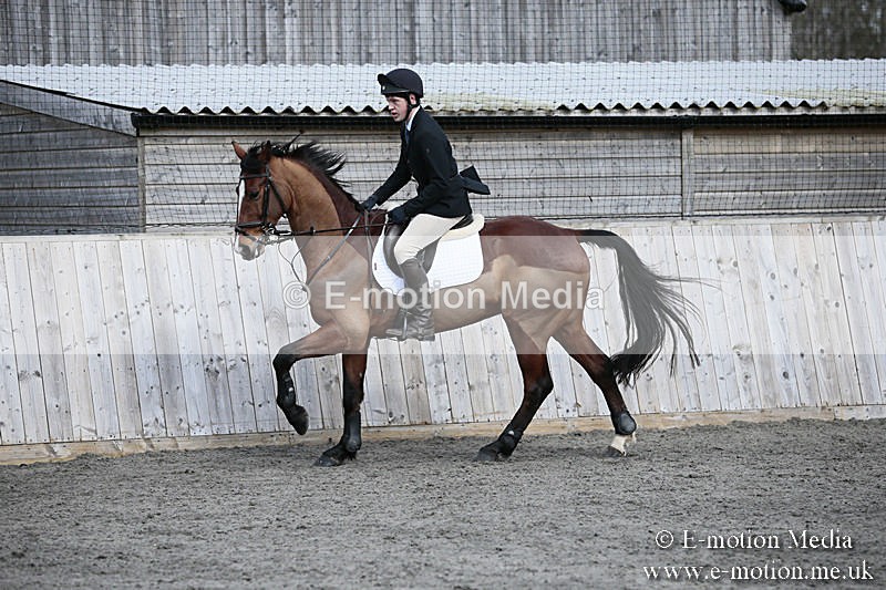BVRC SJ 170319 350 - Bourne Valley Riding Club Showjumping 17/03/19