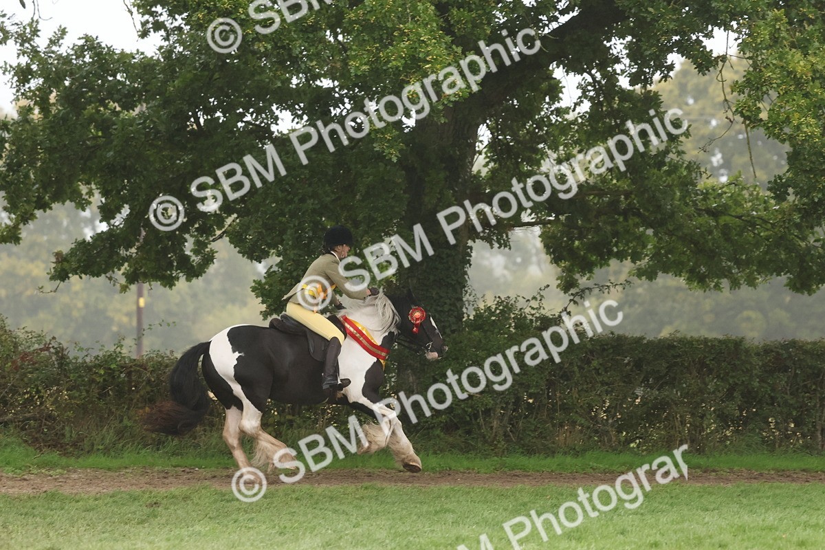 SBM_73229 - Super Supreme Championship(Sun)