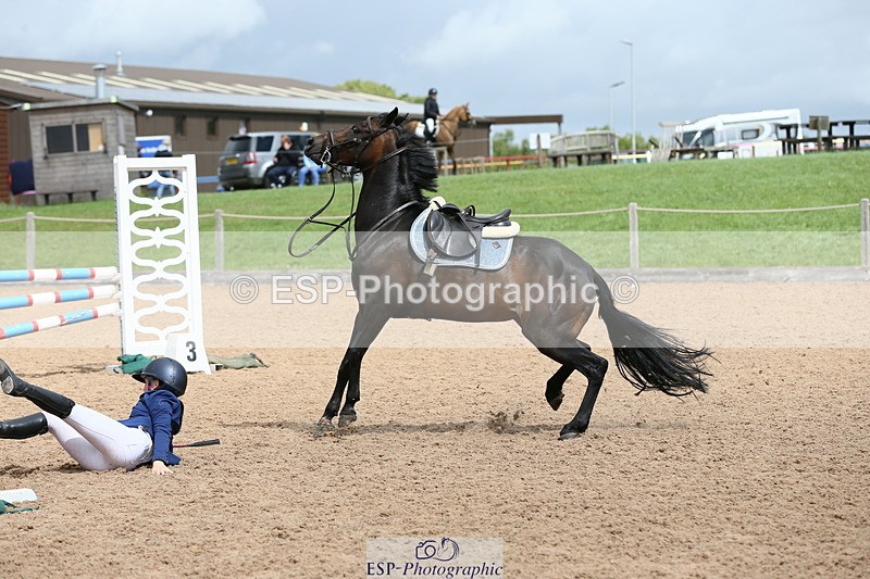 230715A-111520-00689 - Cls 34 Springboard 128cm & 138cm