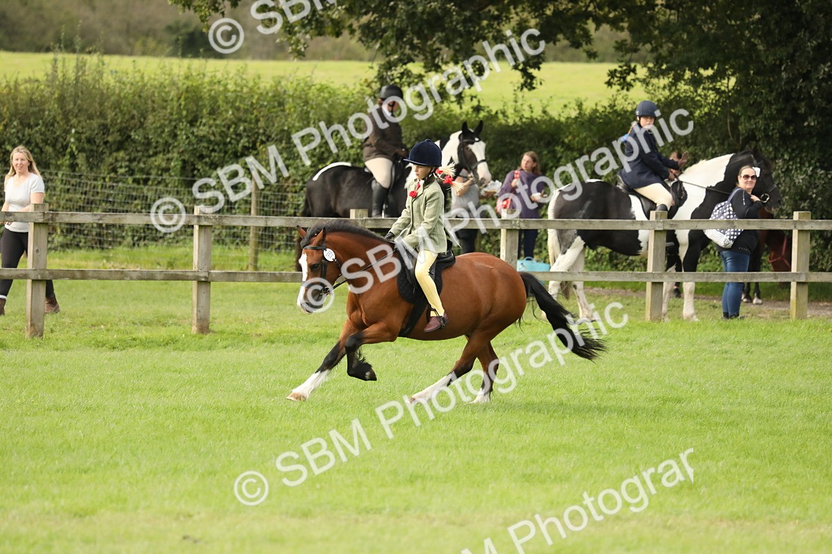 SBM_71544 - S41 - Ridden Equitation (Best Rider)
