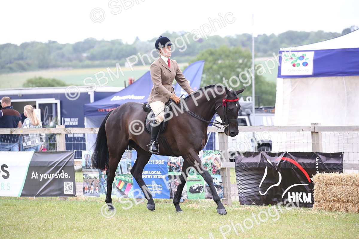 SBM_11380 - Class 94 - LIHS BSHA Racehorse to Showhorse