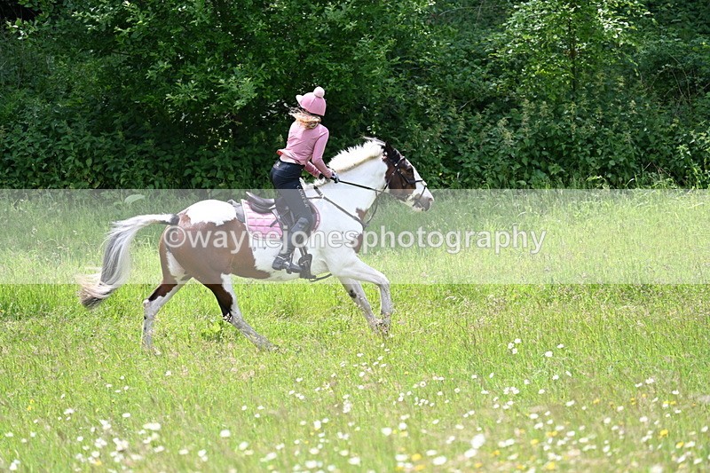 WJ7_8826 - Group 4 11am