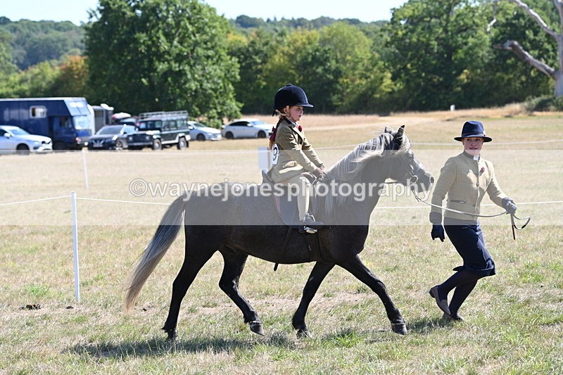 WJ6_7792 - Class 36 Lead Rein