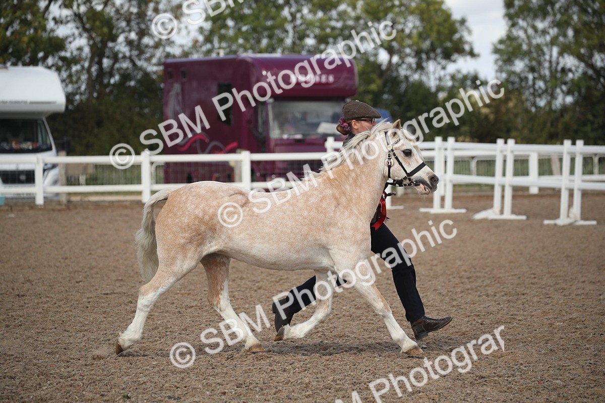 SBM_23495 - Class 604 - 2026 - Area IH Diamond