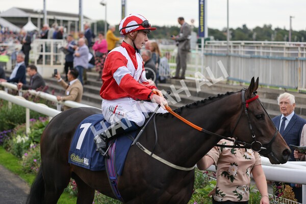 yr24092021r3-8 - Race 3 2.40pm WilliamHill.com Best Odds Guaranteed Stakes