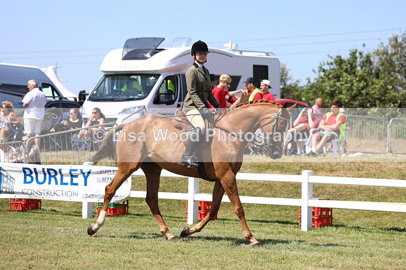 3E7A7671 - Class 7: Open Riding Horse