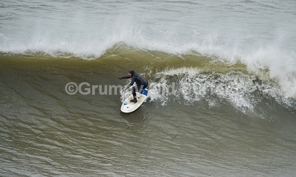 DSC_1808 - Cayton Bay - 11th April 2017