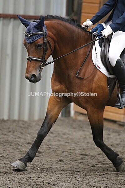 SIAL4952 - CAbin Dressage 5th july 2025