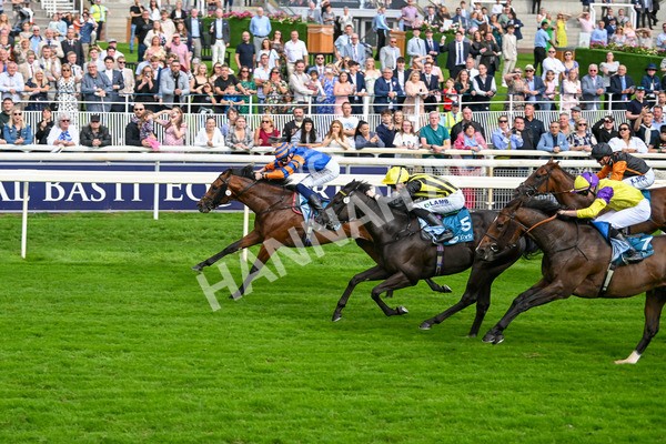 080925-Race 4-Zain Blue-7632 - Race 4 4.00pm Sky Bet Extra Places Middle Distance Handicap
