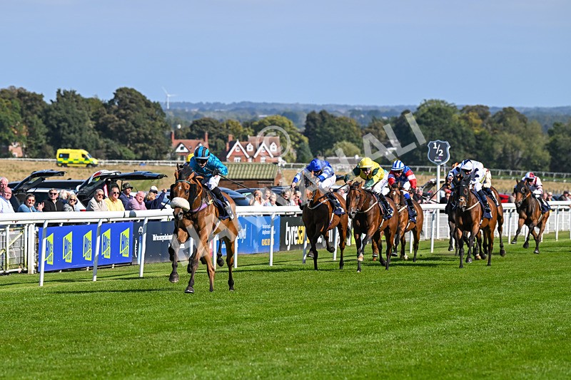 180924-Race 1-Tees George-3683 - Race 1