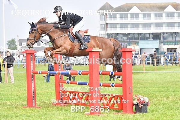 BPP_6863 - CLASS 3 RHS Fox Champ Qual (1.20m)
