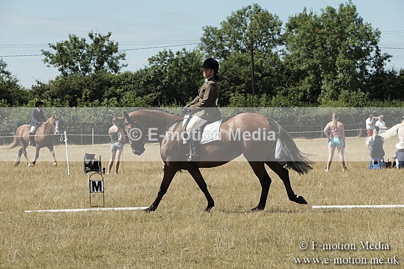 _PJP5852 - Dressage Classes BVRC Show 2018