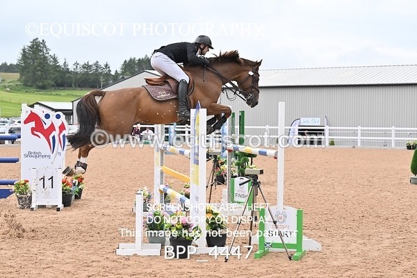 BPP_4447 - CLASS 5 WED Redpost Equestrian Senior Foxhunter/1.20m Open
