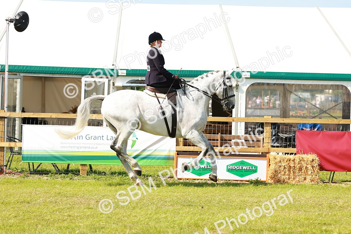 SBM_13136 - Class 70-71 - Side Saddle