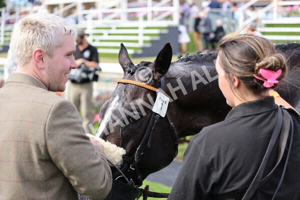 yr08072022r6-32 - Race 6 5.00pm Irish Thoroughbred Marketing Stakes