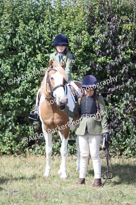 20250831-2512 - Class 16 - Family Pony