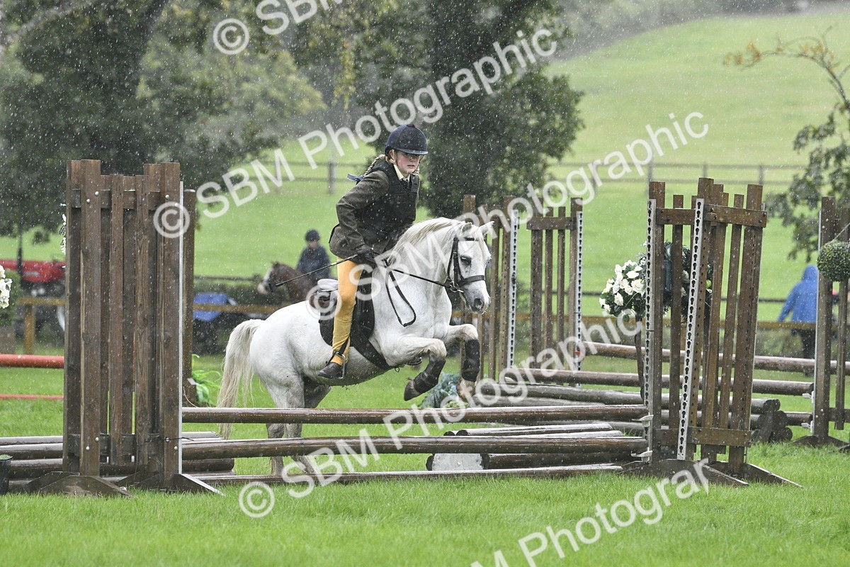 SBM_37127 - S31 - Novice & Newcomer Working Hunter Pony