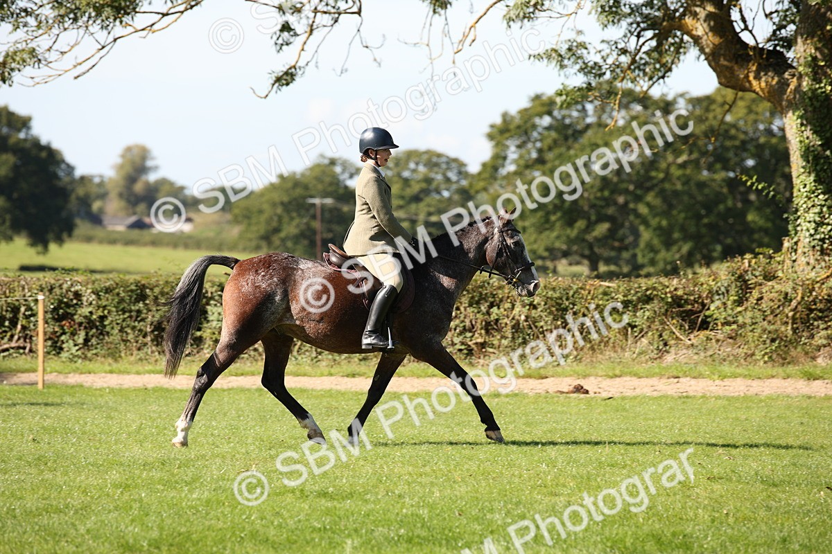 SBM_39005 - S11 - Best Ridden Horse & Pony