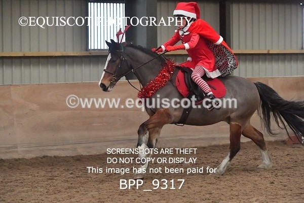 BPP_9317 - CLASS 5 60CM Progressive Show Jumping