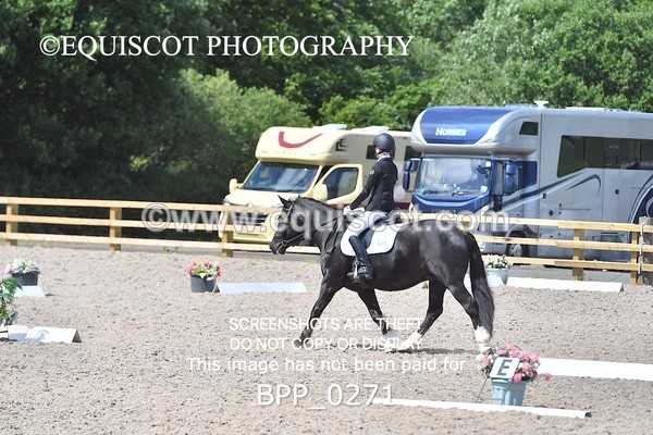 BPP_0271 - SHORT ARENA  MY QUEST PRELIM