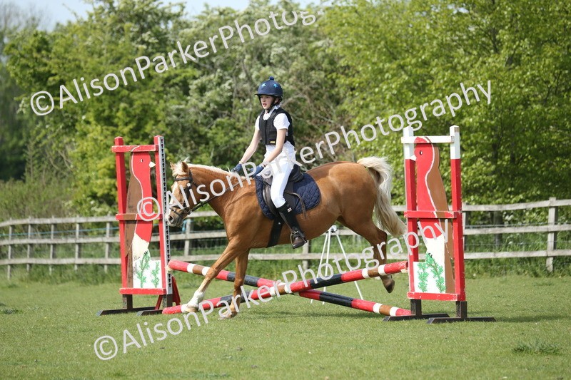 20260426-1604 - Class 14 - Novice 60cm