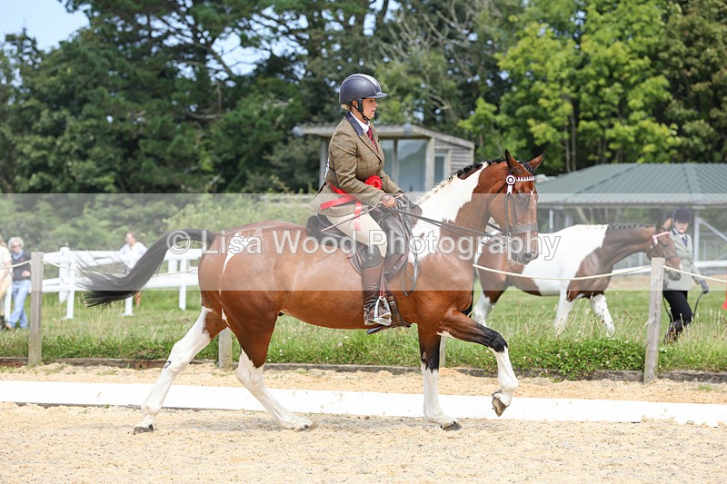 1X9A8416 - Ridden Championship