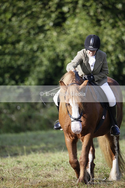 BVRC 120921 49 - Bourne Valley Riding Club UA Dressage & Show Jumping 12/09/21