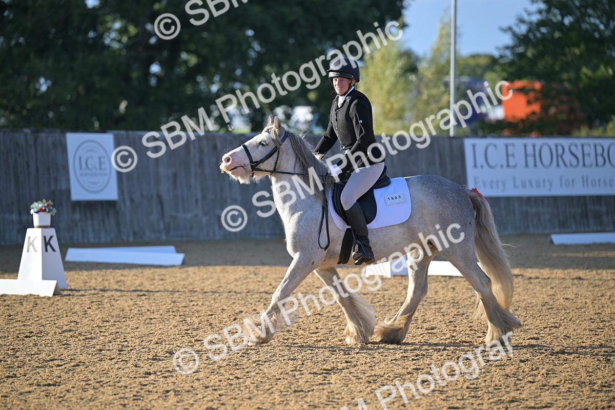 SBM_13143 - D3 - Small Tour Championship Intro 3