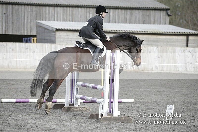 BVRC 050320 0141 - Bourne Valley riding Club Show Jumping Tidworth 08/03/20