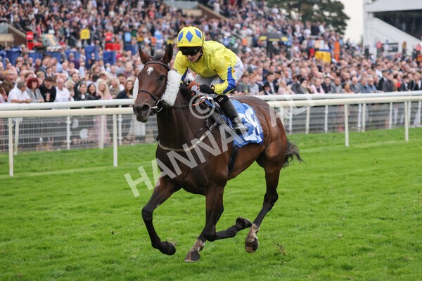 yr09102021r7-26 - Race 7 5.00pm Coral Proud Sponsors Of British Racing Finale Handicap
