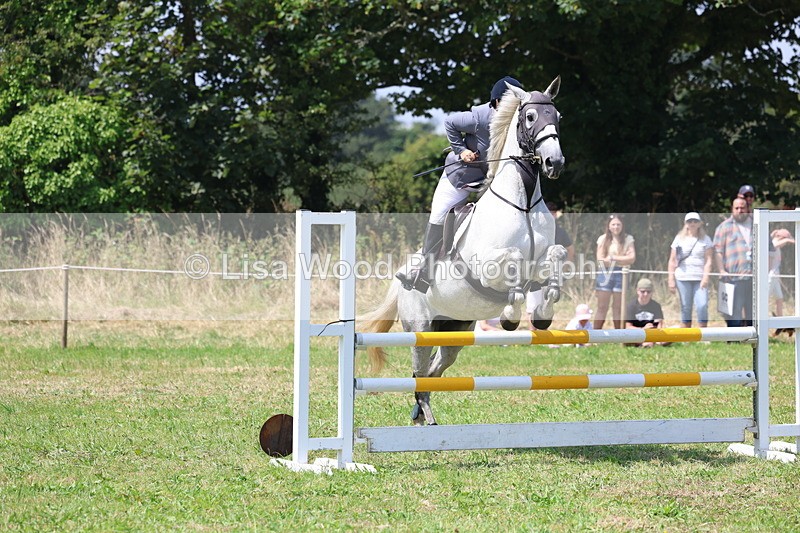 3E7A2905 - Class 7: Senior British Novice/90cm open