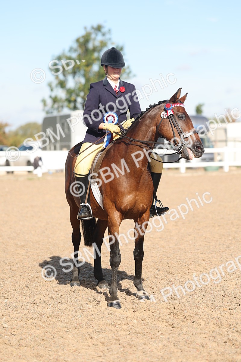 SBM_12417 - Class 304 - Ridden part Bred Horse Pony