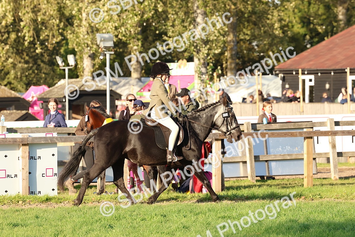 SBM_53069 - S29 - Mature Veteran Ridden